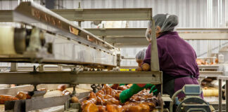 Maszyny w przemyśle spożywczym - czy wkrótce zupełnie zastąpią człowieka