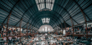 Biznes na terenach Specjalnych Stref Ekonomicznych