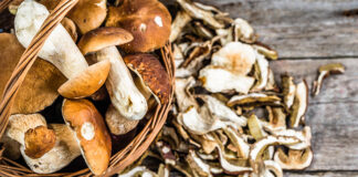 Suszarki do warzyw, owoców i grzybów