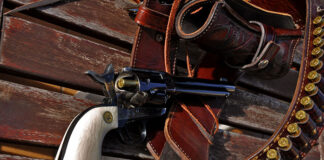 Bogata oferta dystrybutora broni