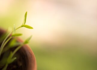 Czy po 23 można jeździć szybciej?