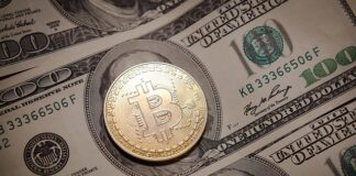 Jak obliczyć zysk z BTC? Jak obliczyć zysk z BTC?