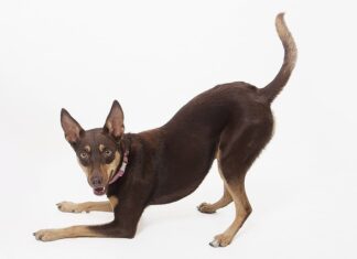 Co warunkuje proces kształcenia?