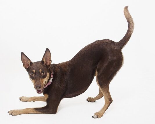 Co warunkuje proces kształcenia?