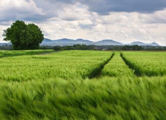 Jak chronić kolana w górach?