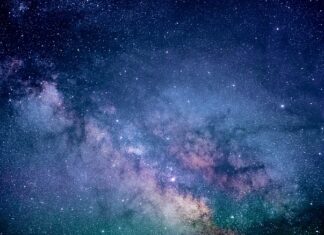 Kto nie może pić niebieskiej herbaty?