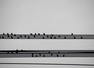 Jak ciekawie podsumować lekcje?