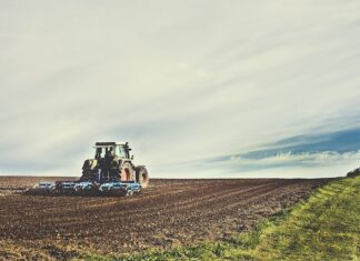 Do czego służy Kultywator ręczny?