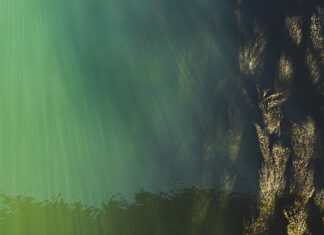 Jak sprawdzić poziom wody w studni?