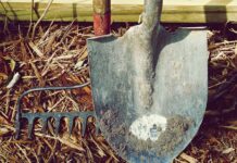 Do czego służą grabie?