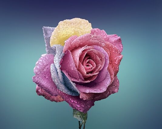 Czym się różni gres szkliwiony od Nieszkliwionego?