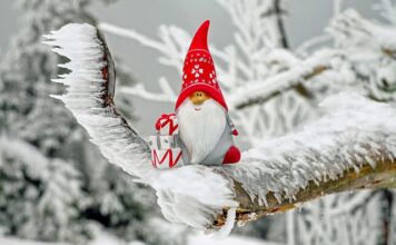 Czy można położyć mrożone mięso na grilla? Czy można położyć mrożone mięso na grilla?