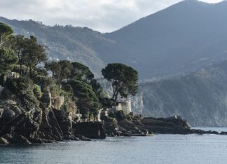 Ile kosztuje 1 cykl zmywania W zmywarce?