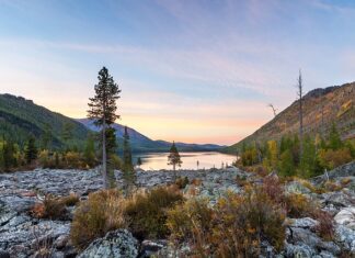 Jak zlikwidować szumy w grzejnikach?