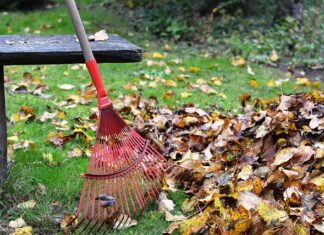 Jak często grabić trawę?