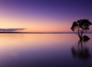 W czym najlepiej trzymać wodę?