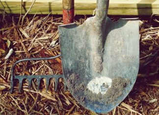 Do czego służą grabie wachlarzowe?