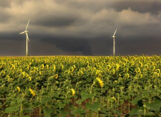 W jakiej kolejności odpowietrzać grzejniki?