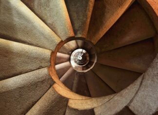 Co wsypać do klatki królika?